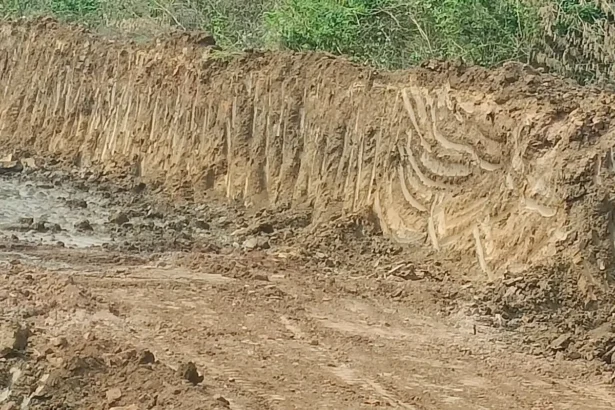 Harihara
