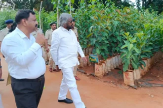 Davanagere