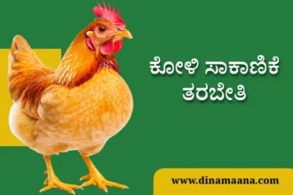 Davanagere