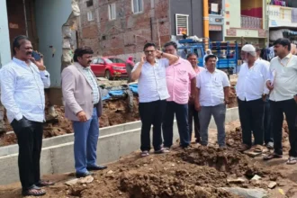 Inspection of various works by the Dooda President