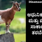 Sheep and Goat Farming Training