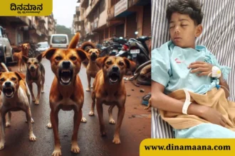 Dog attack: Boy seriously injured