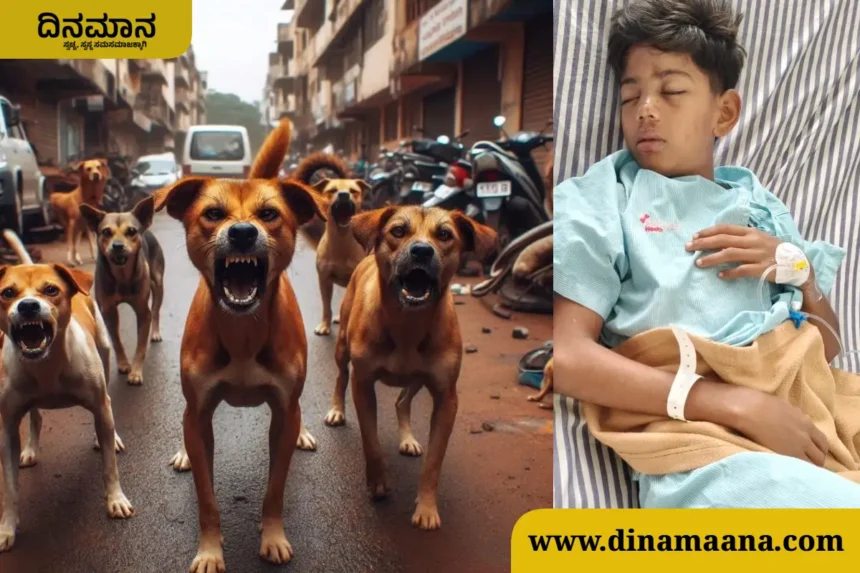 Dog attack: Boy seriously injured