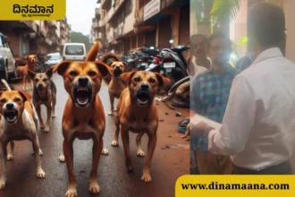 Stray dog ​​menace