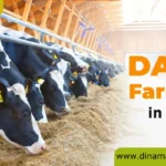 Dairy farming training