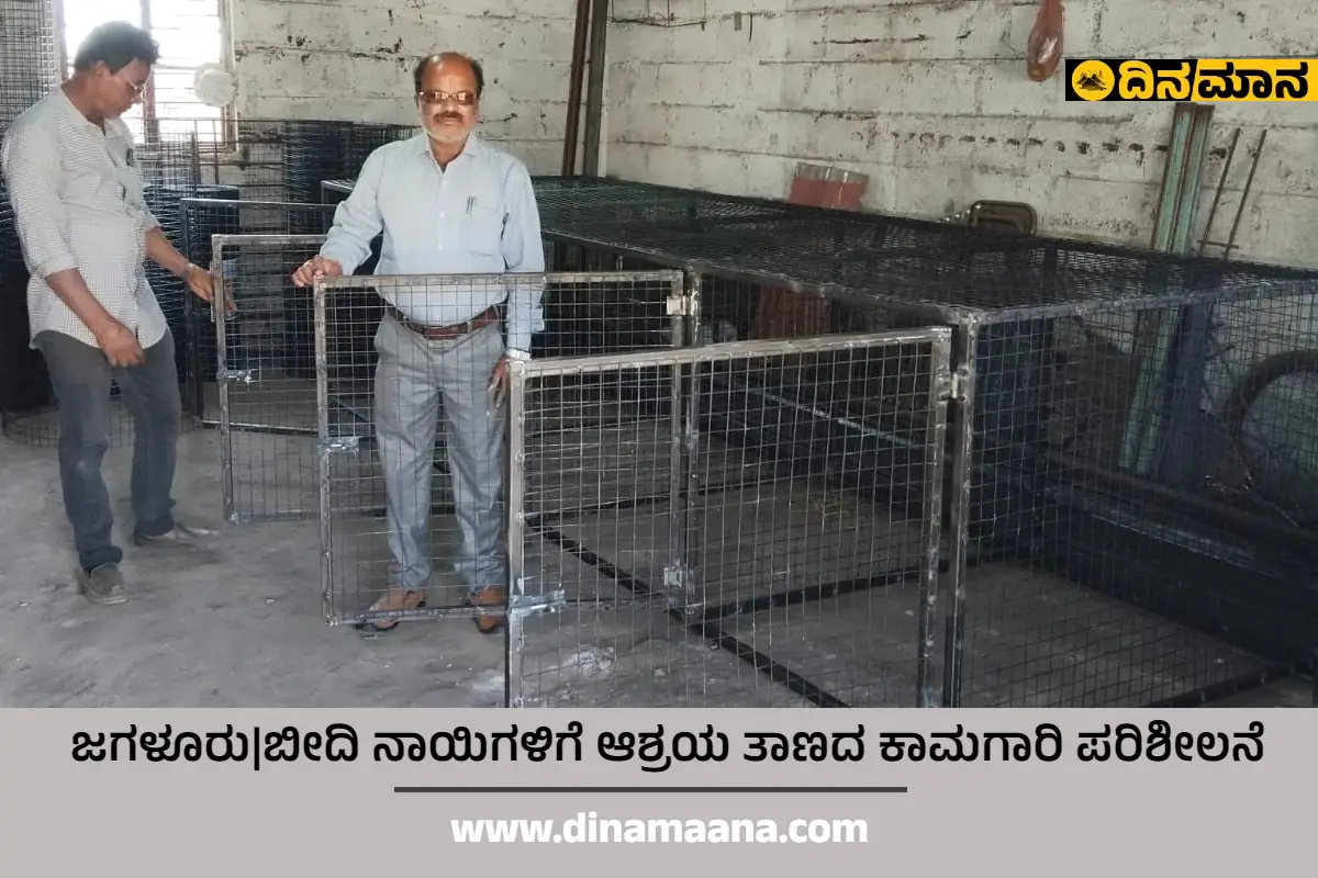 ಜಗಳೂರು|ಬೀದಿ ನಾಯಿಗಳಿಗೆ ಆಶ್ರಯ ತಾಣದ ಕಾಮಗಾರಿ ಪರಿಶೀಲನೆ